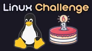 1 Year Linux Challenge