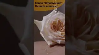 Вертикальное видео для инстаграмма