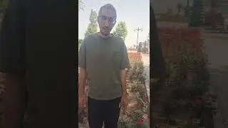 Курды. Курдский язык