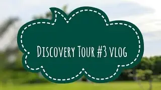 THAILAND/Discovery Tour 2016 [ part3 ] - играем с тиграми/ Шоу тигров / Шоу крокодилов / Шоу слонов.