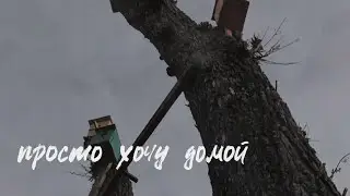 ssshhhiiittt! - домой (Lyric Video)