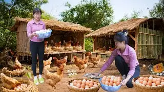 Building Farm | Build Many Nests for Hens to Lay Eggs – Harvest Chicken Eggs Go to Market to Sell