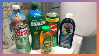 🌲 ASMR All Pine Toilet Cleaning! w/ XtraPine, Pinalen, Pinesol, King Pine, & Comet! 🌲