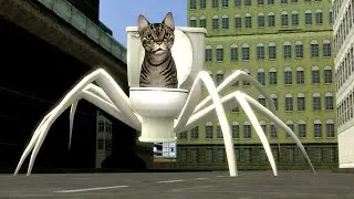 skibidi cat 02  🐈