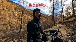 這才是秋天該有的樣子，我居然把自行車騎到這裡，川西祕境很美