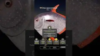 ОПАХ ТРОФЕЙ🦈 Русская рыбалка 4 