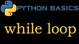 Python Basics 47 # While Loop