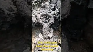 mid 1800s jaw harp found metal detecting 