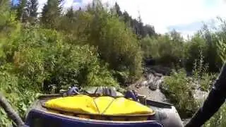 Черное 2013