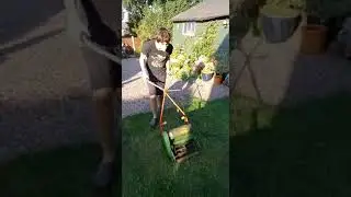 qualcast super panther electric (repost from last summer)