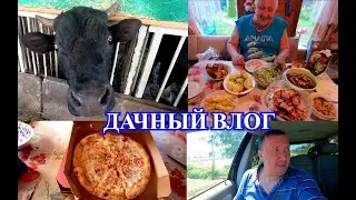 Семейная Ферма / Додо Пицца / Дачный ВЛОГ / Шашлычок