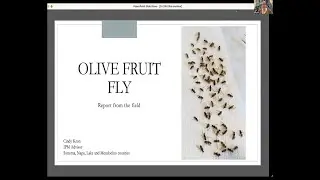 Talk #2: Olive Fruit Fly with Cindy Kron