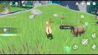 Genshin Impact 8 carrots circling a chest