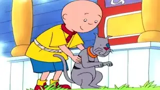 Каю и Дрессировка Кота | Каю на русском | Мультфильм Каю | Мультики для детей