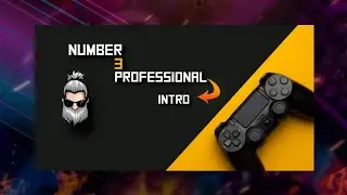 NUMBER (3) PROFESSIONAL INTRO.......||