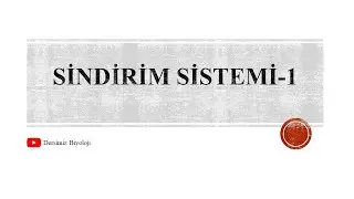 11.Sınıf Sindirim Sistemi -1 (Sindirim Çeşitleri -Ağız -Yutak)