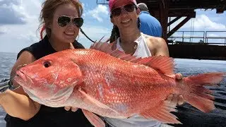 Short run to big snapper, and a surprise fish!