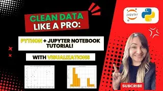 Ultimate Data Cleaning Tutorial in Python: Step-by-Step Guide with Jupyter Notebook