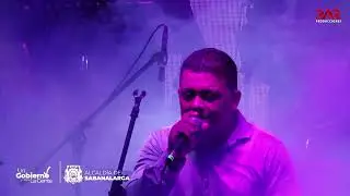 LOBO DOMESTICADO - GRUPO ARIES