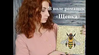 Обзор набора 