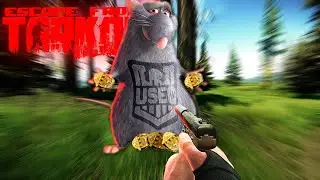 🔴 ОХОТА НА ЮСЕКОВ | EFT