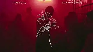 Phantoms - 'Moonflower' (Official Visualiser)