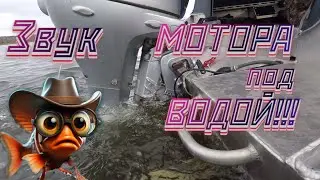 ЗВУК ОТ ЛОДОЧНОГО МОТОРА ПОД ВОДОЙ ЭТО ПИСЕЦ!!!!