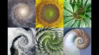 A FASCINATING WAY TO VIEW FIBONACCI NUMBERS | PRESENTED BY AM's TECHNO LOGICAL KNOWLEDGE CHANNELᴴᴰ