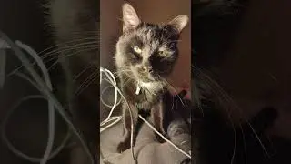 любимый друг, который со мной говорил