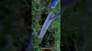 Grass Cries when we Cut 😭😭 #glitchinthematrix #youtubeshorts