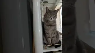 Утренняя разминка