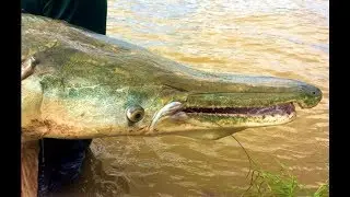 Catching TEXAS River TARPON the Ultimate Freshwater Fish