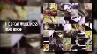 MRMK MUSIC | The Great Wilderness – Dark Horse [2011] #alternative #noisepop #postpunk #shoegaze