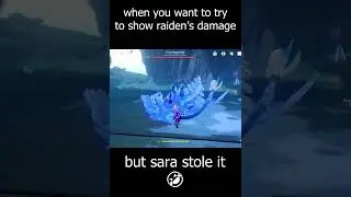 When you try to show Raiden Shogun's damage but failed!