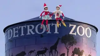 Elves Click and Dee head to the Detroit Zoo