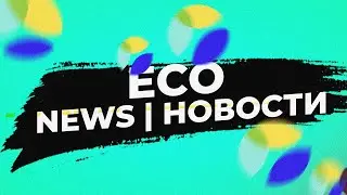 Eco.com - news 2022