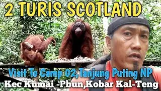 2 Turis Scotland Visit Ke Camp 02 IOrangutans Feeding Tntp#dua#turis #scotland#camp#beautiful#shorts