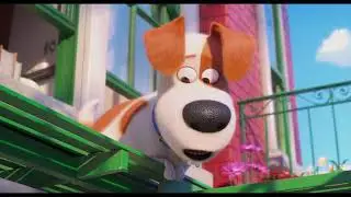 La Vida Secreta de tus Mascotas 2 - Estreno 4 de julio
