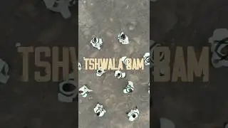Tshwala Bam Trailer. Incoming 🚨- Tshwala Bam (Choir Version)Tomorrow by 7pm 🕖 🔥🔥