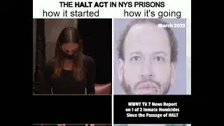 How it Started/How its Going - Violence amidst HALT