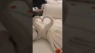 Deco Towel Swan | তাওয়ালে দিয়ে সুন্দর হাঁস বানানো #shortvideo #shortdectowel