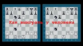 Как выиграть у человека. Тактические и психологические приемы для победы в шахматной партии.