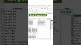 Count Unique in Excel