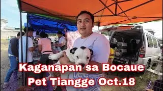 Mga Magagandang Breed Nasa Bocaue Pet Tiangge Na. Oct.18