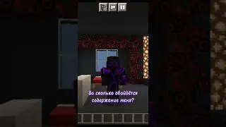 Во сколько обойдётся содержание меня? #minecraft #приколы #shorts