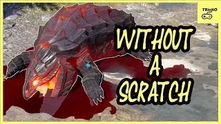 Void Salamander Fight (Ninja Combat Tactics) Divinity Original Sin 2