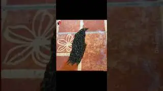 Unusual movements captured