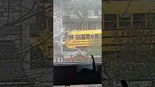 Magic School Bus