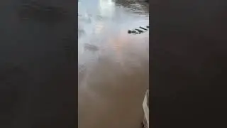 En el río en Trujillo septiembre 2021