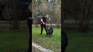 День Рождение ротикоманде